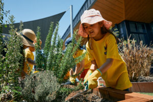 Nurturing Nature. Cultivating Sustainability. Kool Kidz Rowville